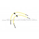 Flexibles de frein aviation Goodridge pour Peugeot 208 GTI