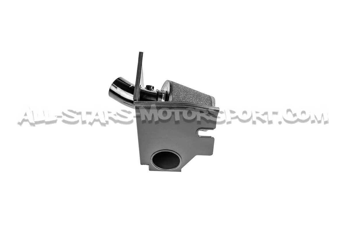 ITG Maxogen Intake for Fiesta ST Mk8