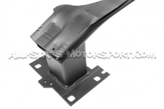 Echangeur Forge pour Audi RS3 8V / 8V.5