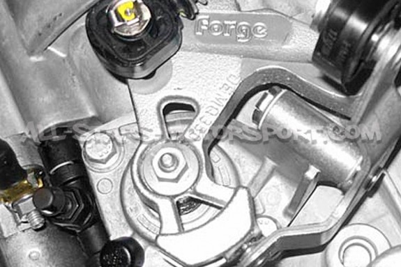 Kit Short Shift Forge pour Audi A3 / S3 / TT 6 vitessses