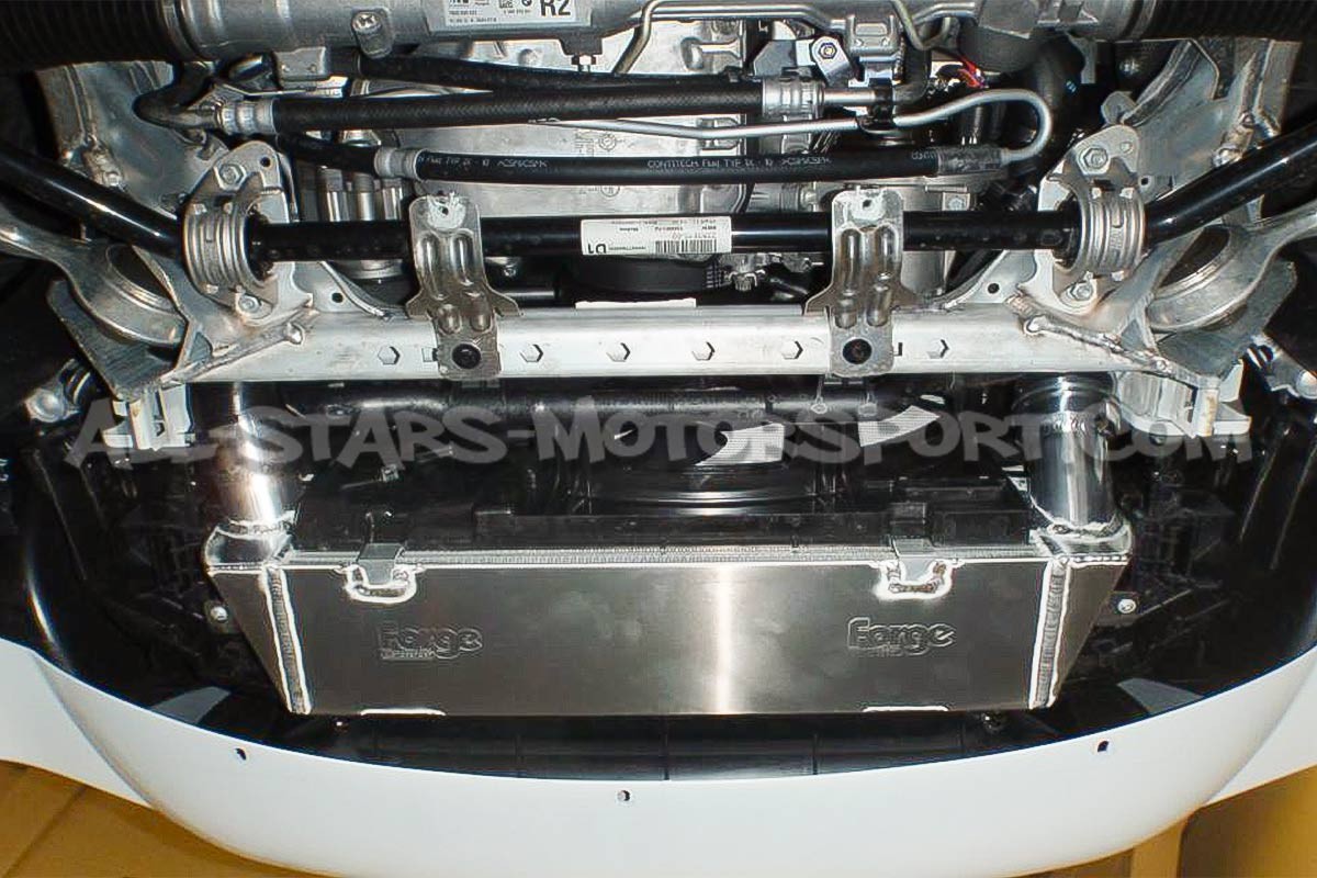 Intercambiador Forge para BMW 135i / 235i / 335i / 435i / M2 F2x F3x