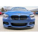 Echangeur Forge pour BMW 135i / 235i / 335i / 435i / M2 F2x F3x
