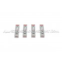 Bougies NGK ILKR8E6 pour Mitsubishi Lancer Evo 10