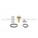 Ford Fiesta ST 180 MK7 Mishimoto Racing Thermostat