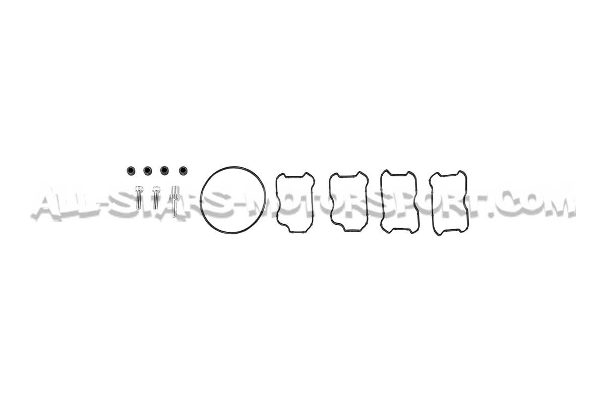 Collecteur d'admission Alpha Competition pour Audi S3 8V / S3 8Y / ...