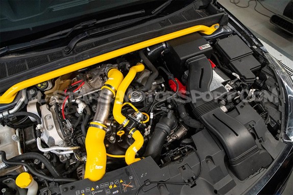 Admission Forge Motorsport pour Renault Megane 4 RS