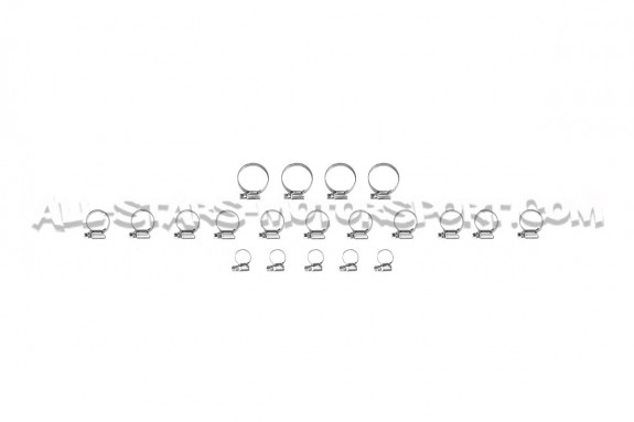 Mangueras de enfriamiento de silicona Alpha Competition para Golf 3...