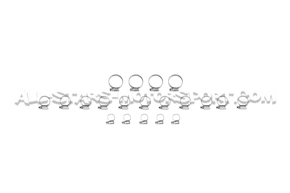 Mangueras de enfriamiento de silicona Alpha Competition para Golf 3...