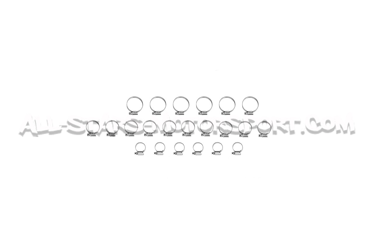 Mangueras de enfriamiento de silicona Alpha Competition para Audi S1