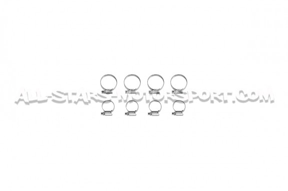 Durites de refroidissement silicone Alpha Competition pour S3 8V / ...
