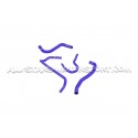 Durites de refroidissement silicone Alpha Competition pour S3 8V / ...