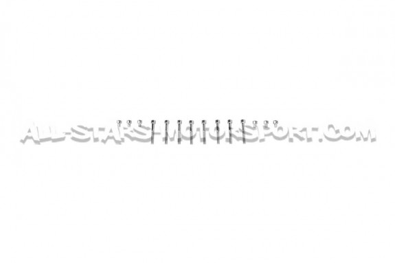 CTS Turbo Intercoolers for BMW M5 F10 / M6 F1x