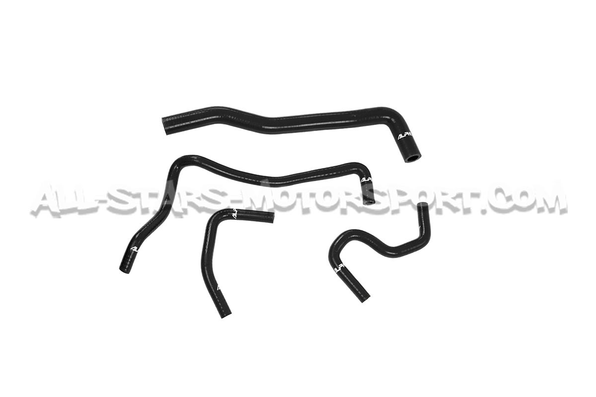 Abarth 595 / 695 Alpha Competition Auxiliary Silicone Hoses