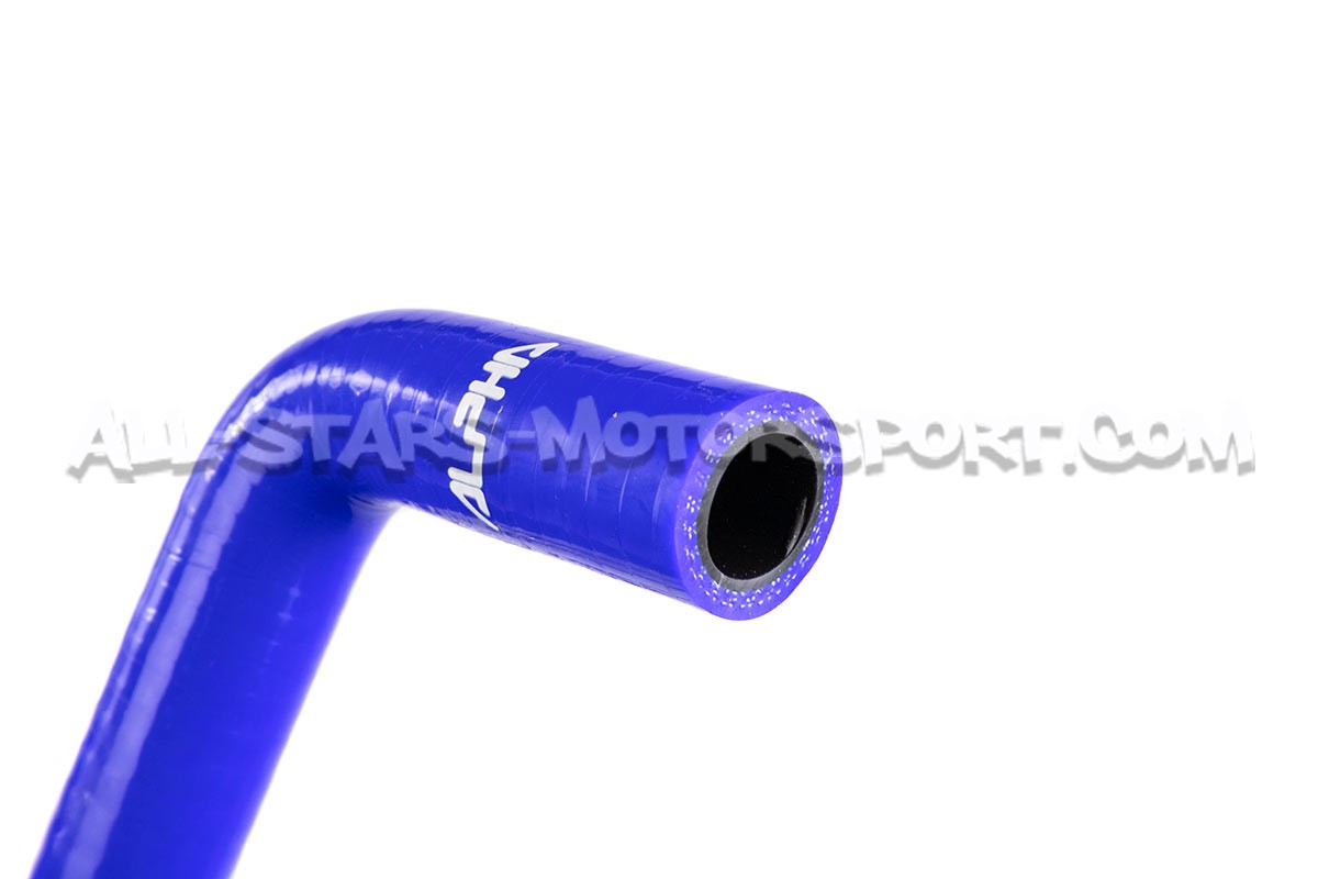 Abarth 595 / 695 Alpha Competition Auxiliary Silicone Hoses