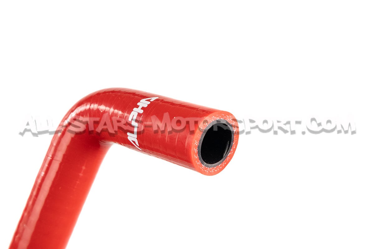 Abarth 595 / 695 Alpha Competition Auxiliary Silicone Hoses