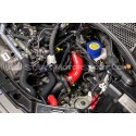 Abarth 595 / 695 Alpha Competition Silicone Turbo Hoses