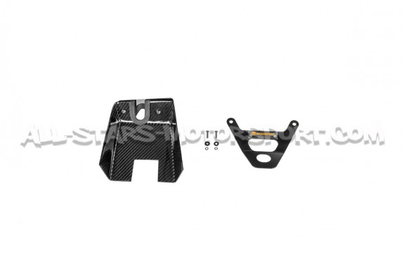 Admisión de fibra de carbono Armaspeed para BMW 135i / 235i F2x y 3...