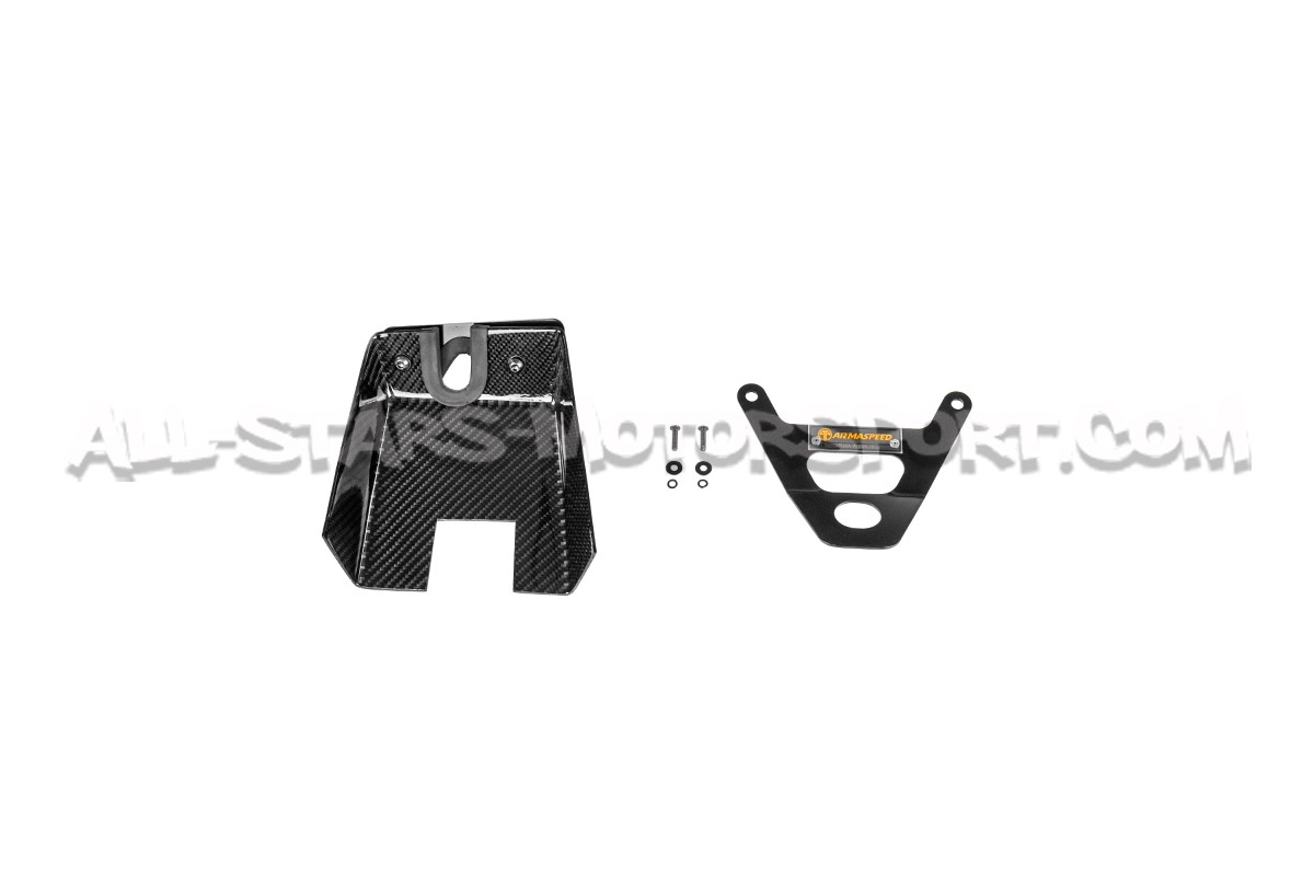 BMW 135i / 235i F2x and 335i / 435i F3x N55 Armaspeed Carbon Fiber ...