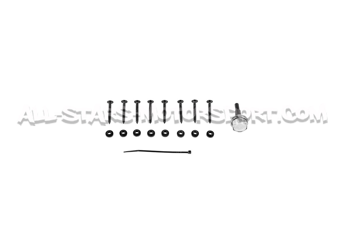 Admission carbone Armaspeed pour Golf 8 GTI / Golf 8 R