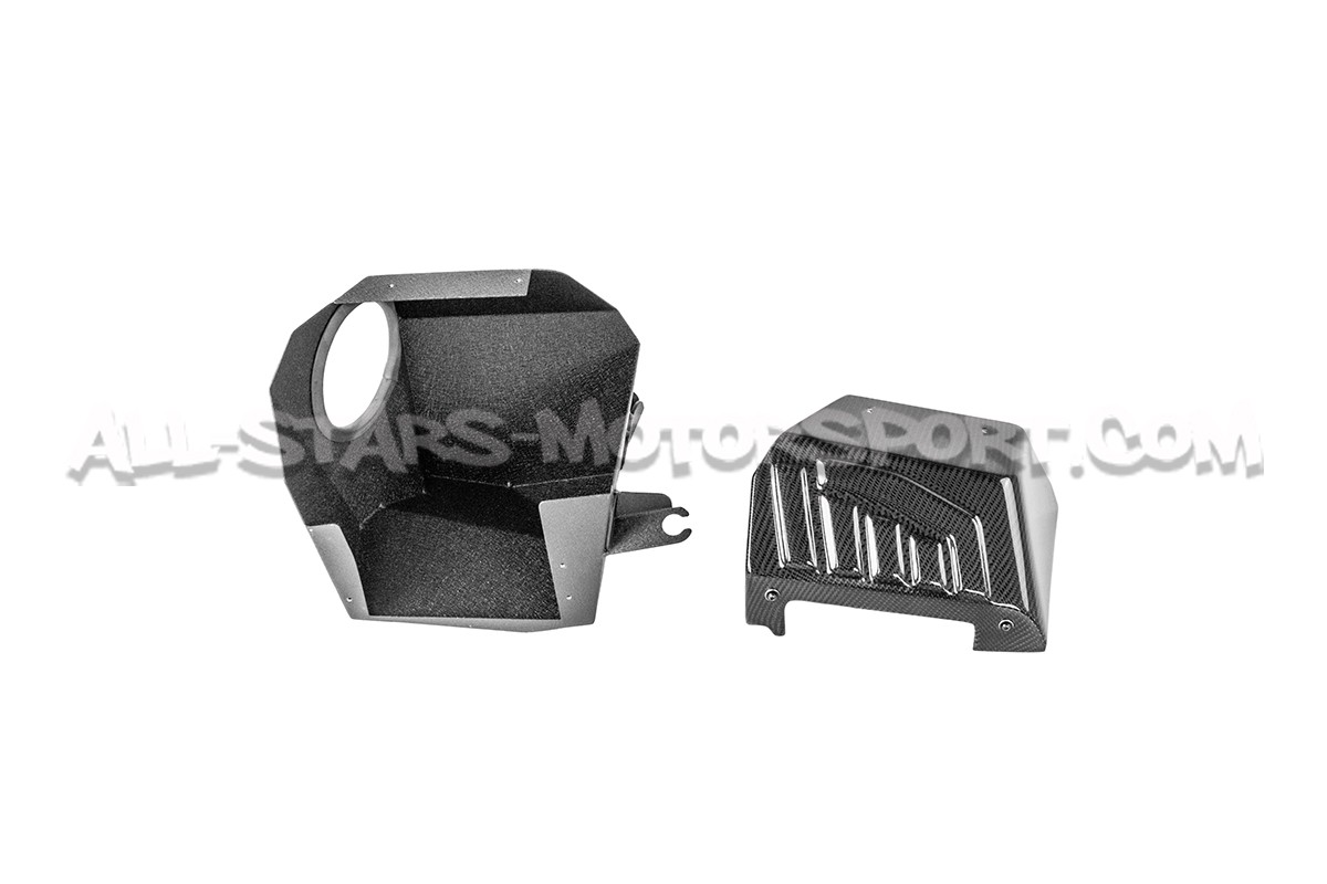 Admisión de fibra de carbono Armaspeed para BMW 135i F40