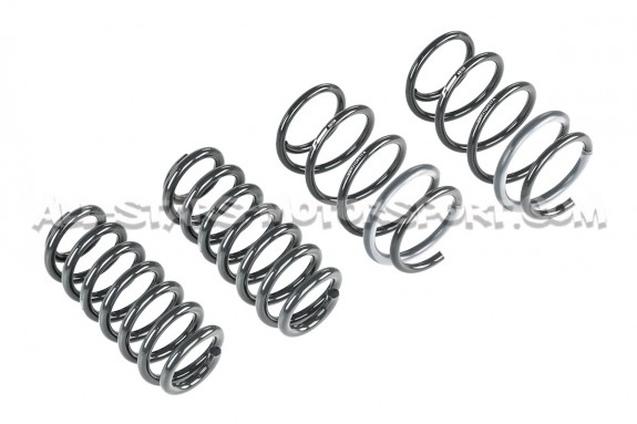 Kit ressorts courts Racingline pour Audi S3 8Y Sedan / SportBack