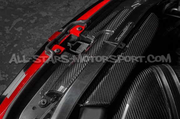 Difusores de aire de carbono Eventuri para BMW M3 E9x