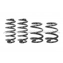 Audi TTRS 8S -20mm Eibach Pro-Kit Lowering Springs
