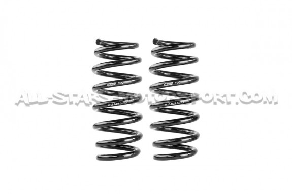 Audi R8 4S -20mm Eibach Pro-Kit Lowering Springs