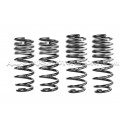 BMW M5 F10 -25mm Eibach Pro-Kit Lowering Springs