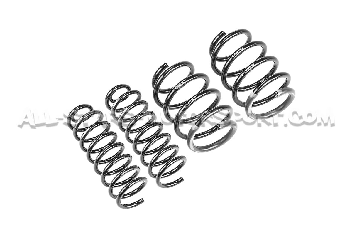 Renault Megane 2 RS -25mm Eibach Pro-Kit Lowering Springs