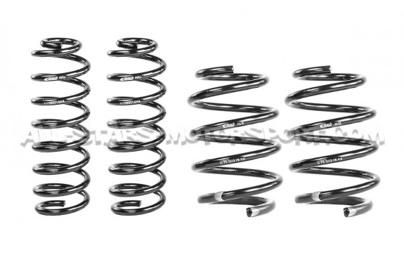 Renault Megane 2 RS -25mm Eibach Pro-Kit Lowering Springs