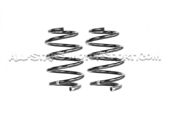 Renault Megane 2 RS -25mm Eibach Pro-Kit Lowering Springs