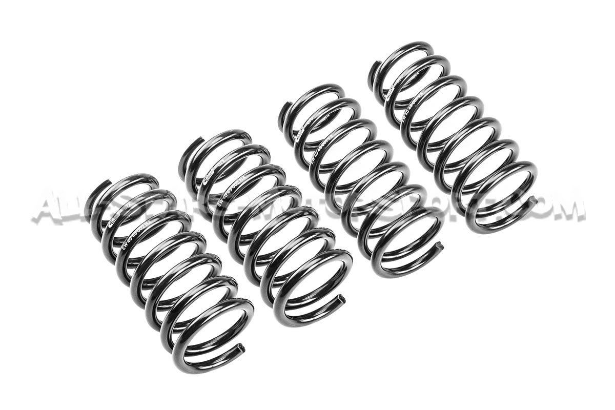 Honda S2000 -25mm Eibach Pro-Kit Lowering Springs