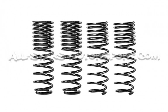 Honda Integra Type R DC2 -25mm Eibach Pro-Kit Lowering Springs