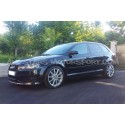 Muelles de suspensión Eibach Pro-Kit -30mm para Audi A3 8P 3.2 V6 S...