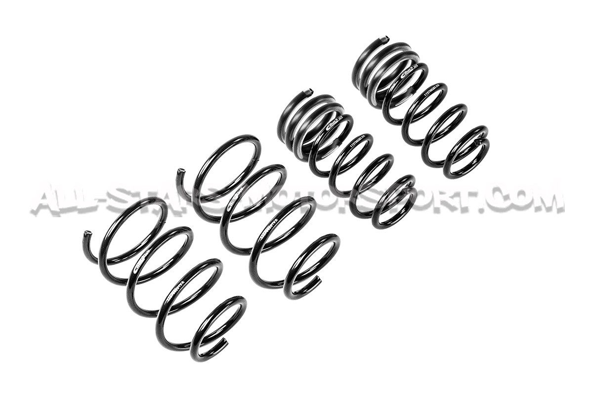 Mini Cooper S / JCW R56 -25mm Eibach Pro-Kit Lowering Springs