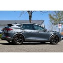 Cupra Formentor 2.0 TSI -30mm Eibach Pro-Kit Lowering Springs