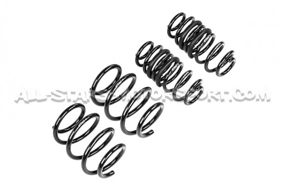 Ressorts courts Eibach Pro-Kit -20mm pour Hyundai I20N