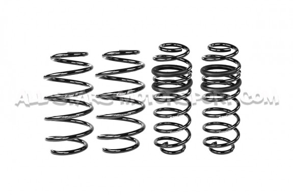 Ford Fiesta ST Mk7 -20mm Eibach Pro-Kit Lowering Springs