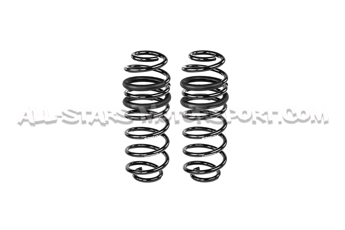 Ford Fiesta ST Mk7 -20mm Eibach Pro-Kit Lowering Springs