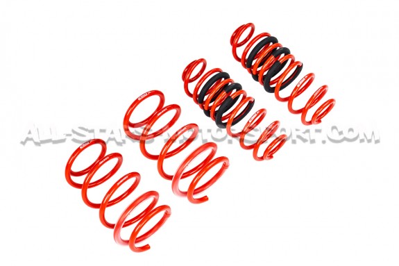 Polo AW GTI -30mm Eibach Sportline Lowering Springs