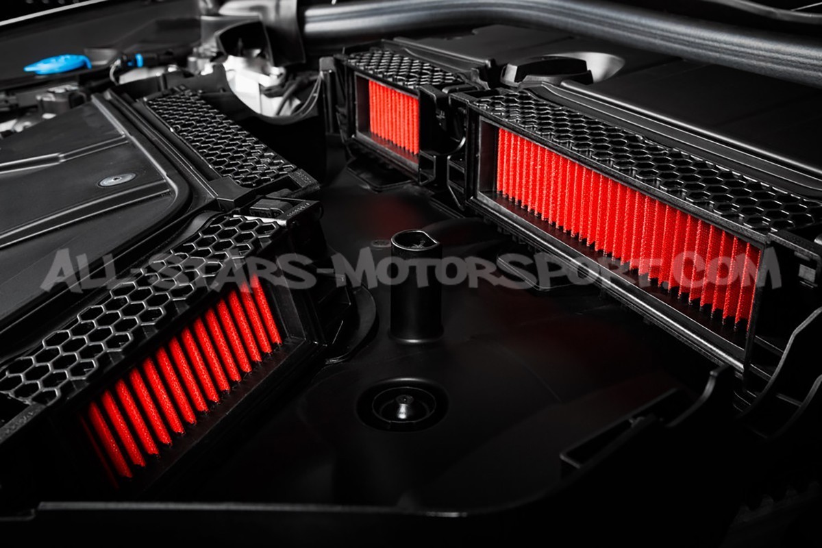 BMW X3M / X4M F9x Eventuri Panel Air Filters