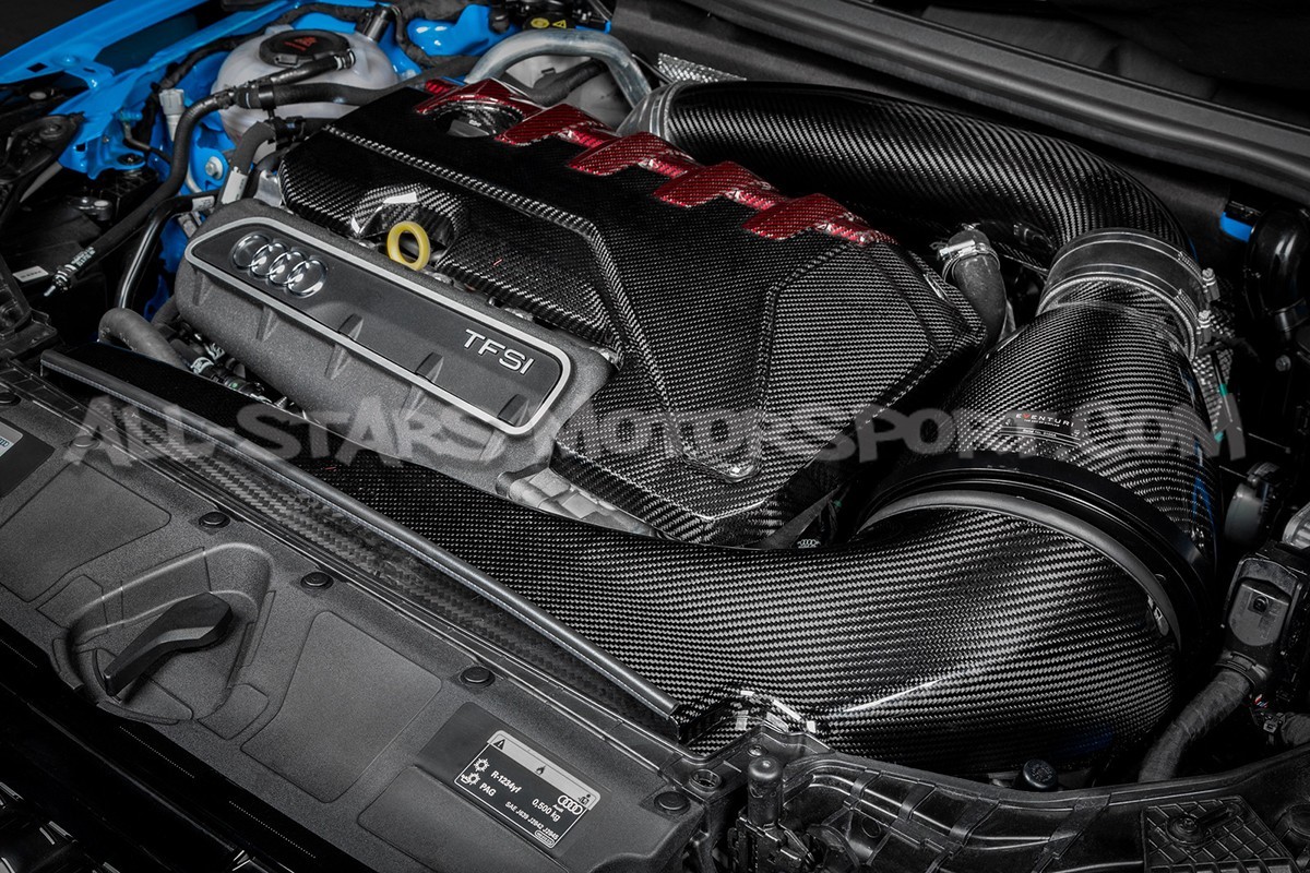 Audi RS3 8Y / Cupra Formentor VZ5 Eventuri Carbon Fiber Intake