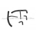 Admision de carbono Eventuri para Audi RS3 8Y / Cupra Formentor VZ5