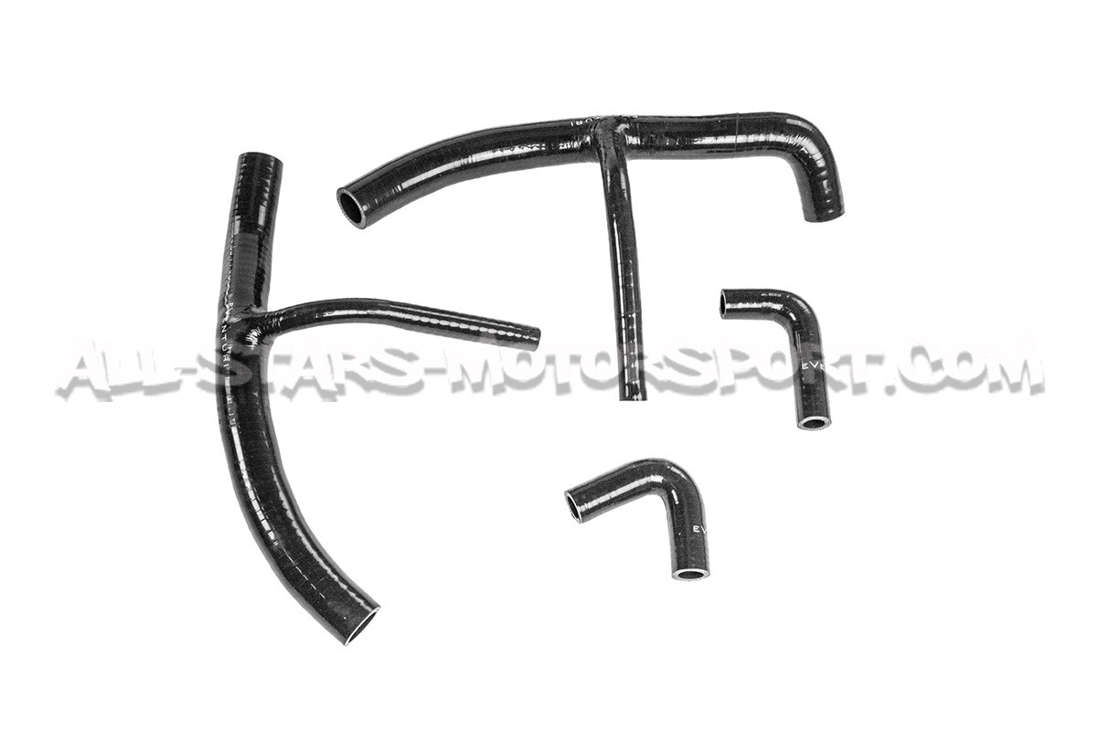 Admission carbone Eventuri pour Audi RS3 8Y / Cupra Formentor VZ5