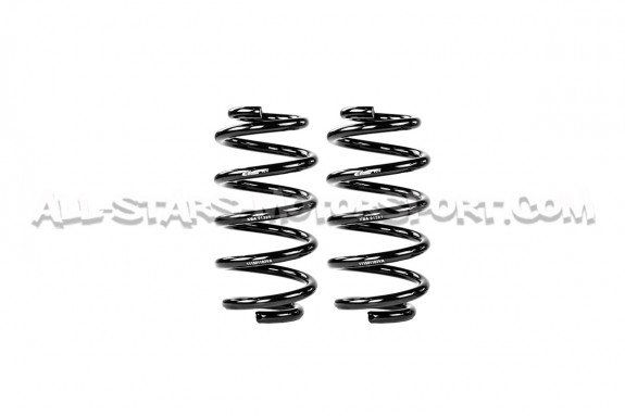 Audi S4 B8 -20mm Eibach Pro-Kit Lowering Springs
