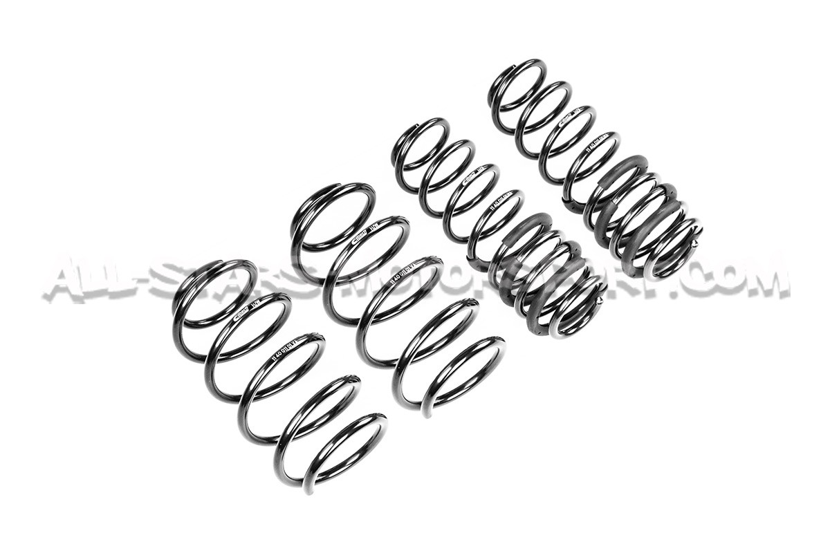 Civic Type R FN2 -15mm Eibach Pro-Kit Lowering Springs