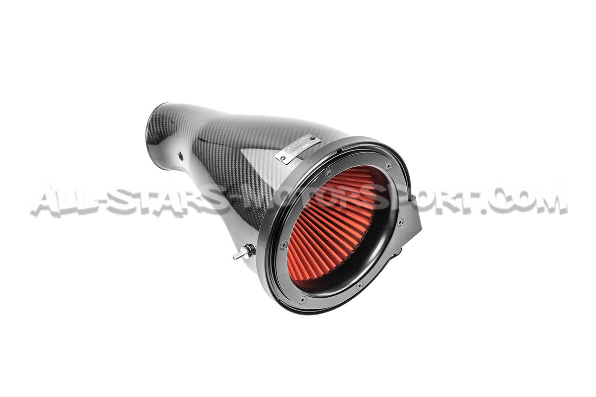 Admision de carbono Eventuri para Golf 8 GTI