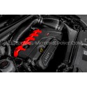 Admision de carbono Eventuri para RSQ3 F3