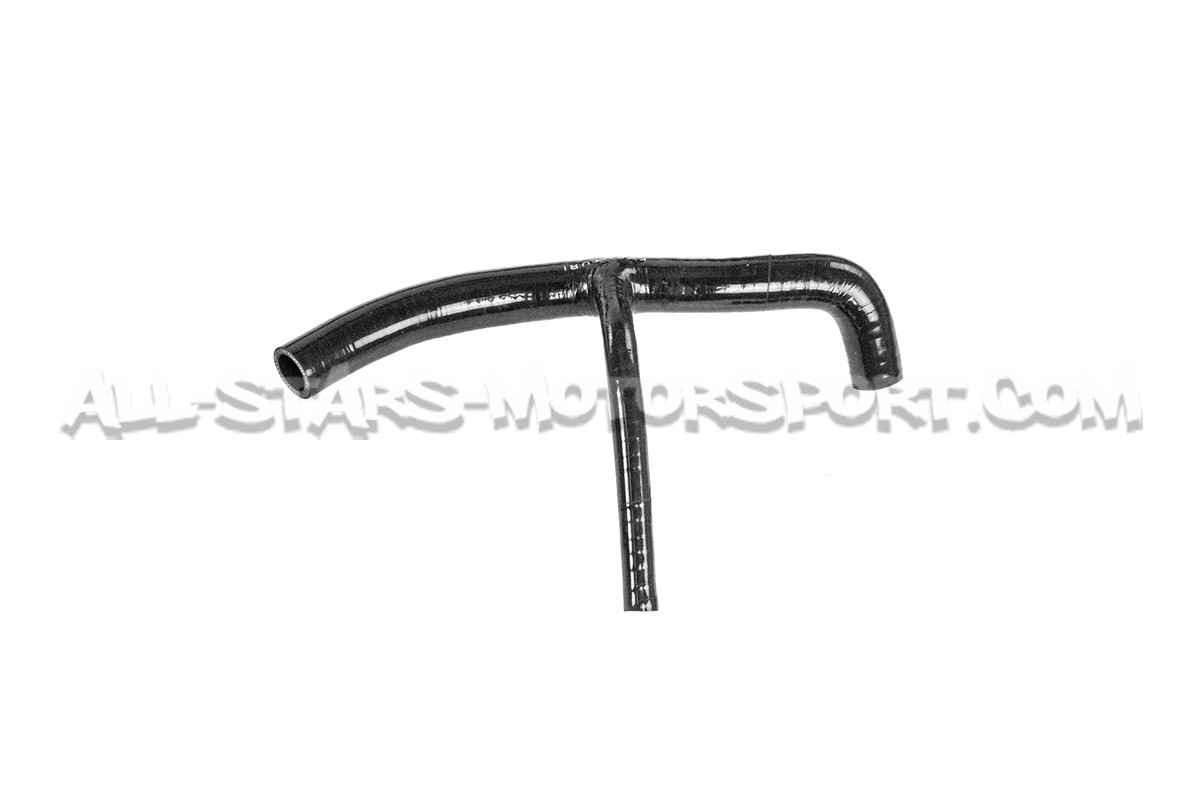 Admision de carbono Eventuri para RSQ3 F3